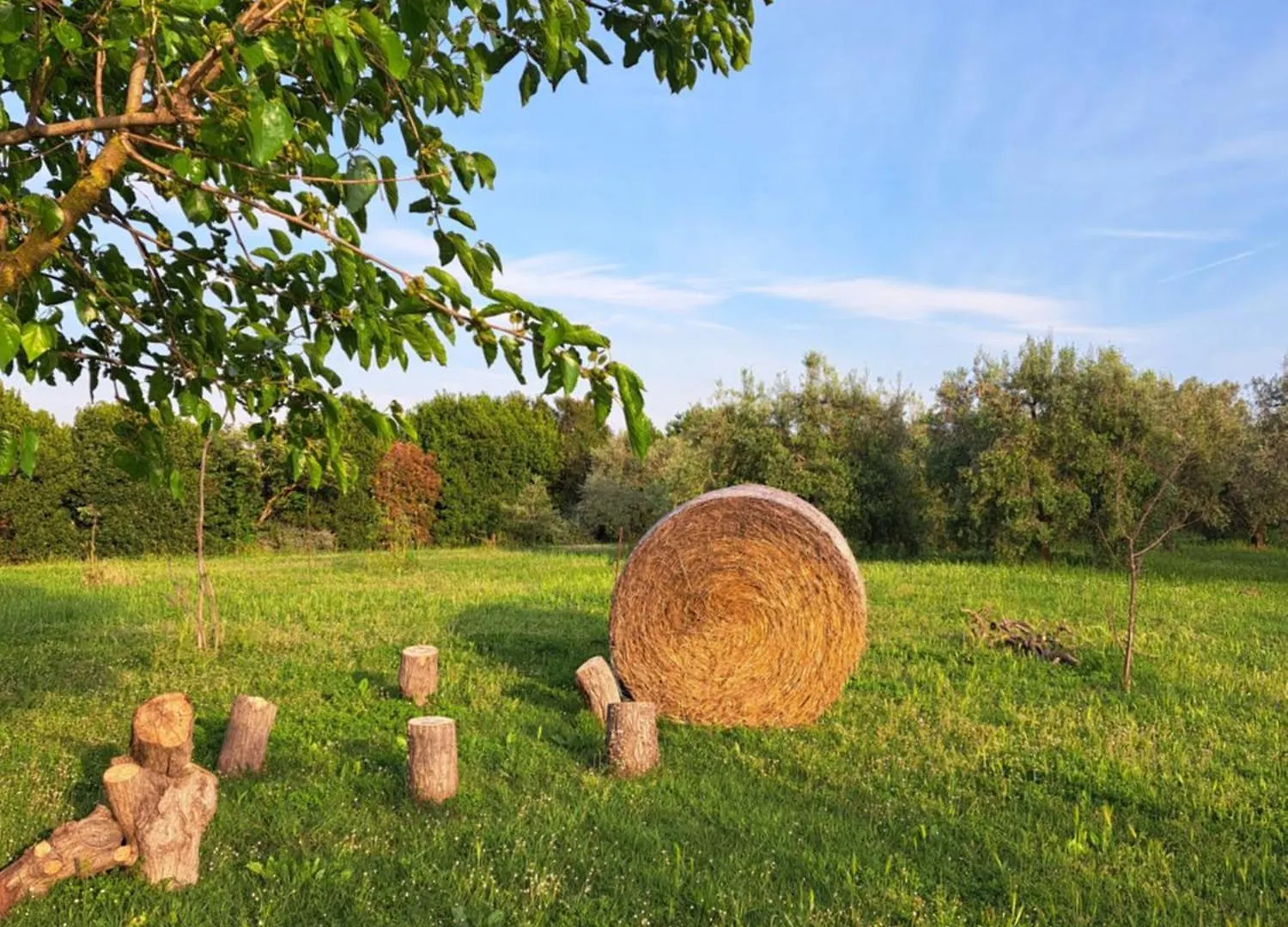 مزرعة للإقامة Agriturismo La Tortorella Macchiascandona