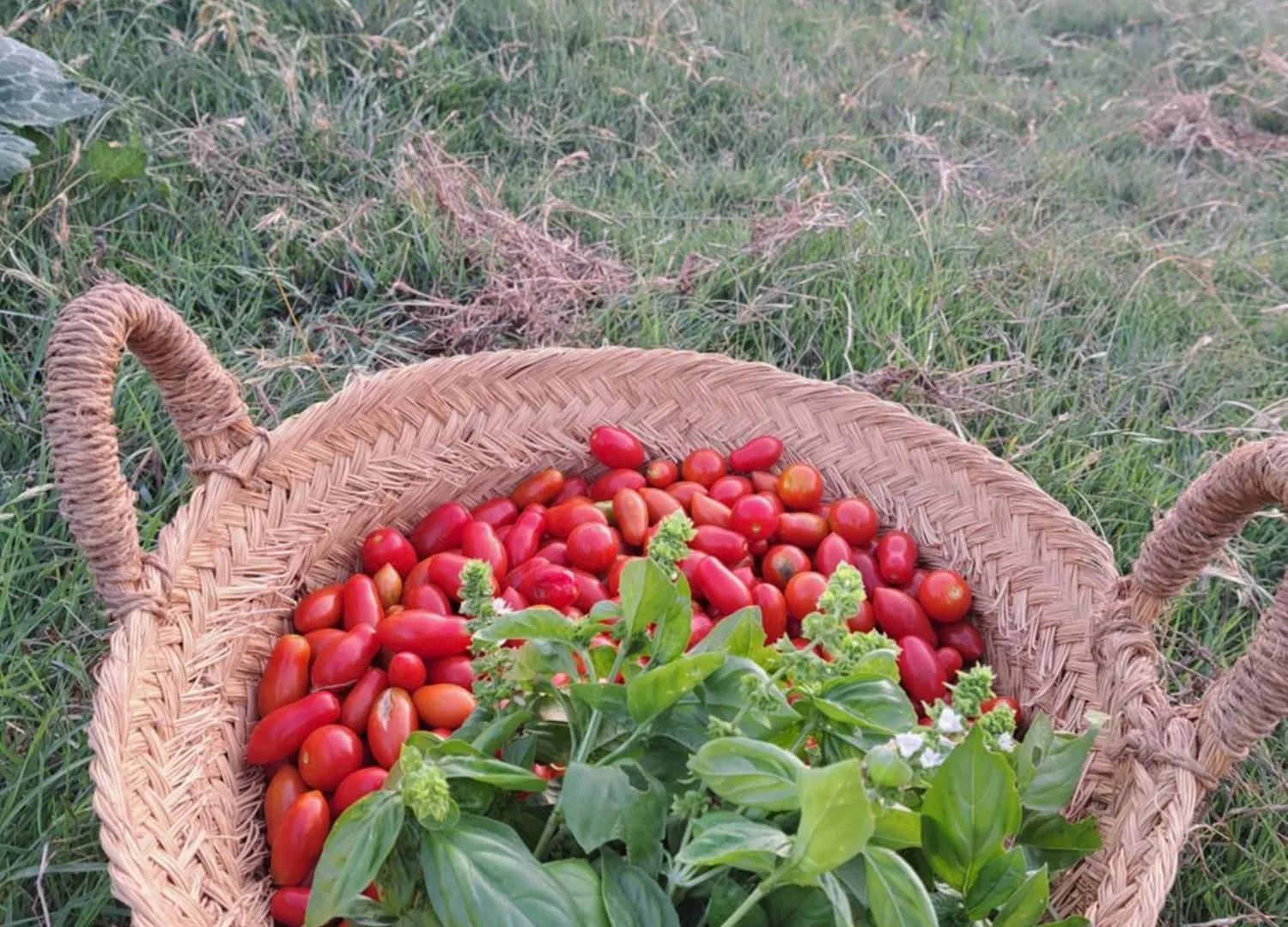 Agriturismo La Tortorella Villa Macchiascandona
